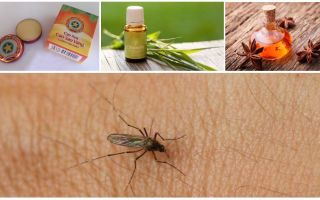 Přehled lidových prostředků pro komáry a polibky v přírodě