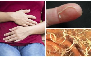 Účinky pinworms pro člověka