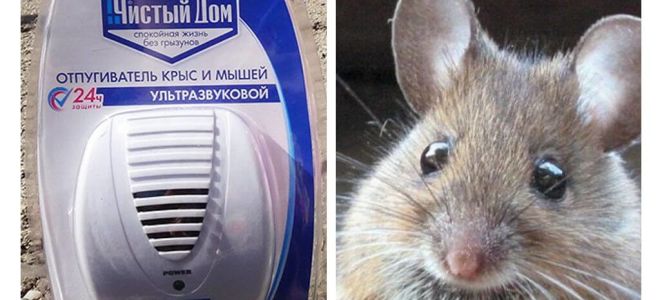 Ultrazvukový repeller z krys a myší Čistý dům