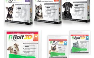 Kapky Rolf Club 3D z blech pro psy a kočky