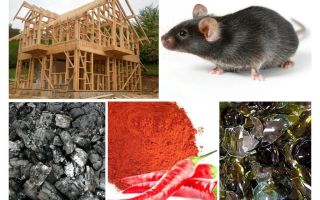 Ochrana rámu domu proti myším