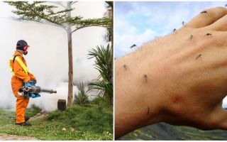 Prostředky pro zpracování oblasti od komárů a klíšťat