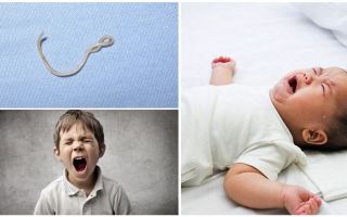 Symptomy a léčba ascariasis u dětí