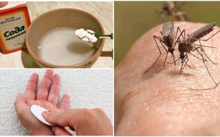 Komár kousne roztok sody pro děti i dospělé