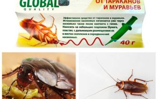 Globální náprava švábů (Global)