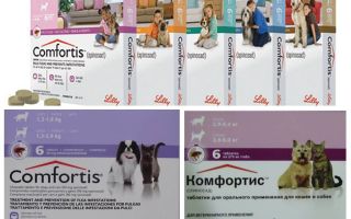 Tablety blech pro psy a kočky