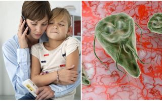 Giardiasis u dětí: příznaky a léčba